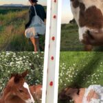 Λαμπάδα με μανιταράκια