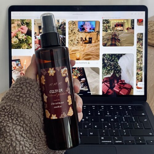 Fabric Mist Χριστουγεννιάτικο Μπισκότο